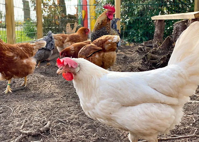 Apartamento Ela's Hof - Lavendel *